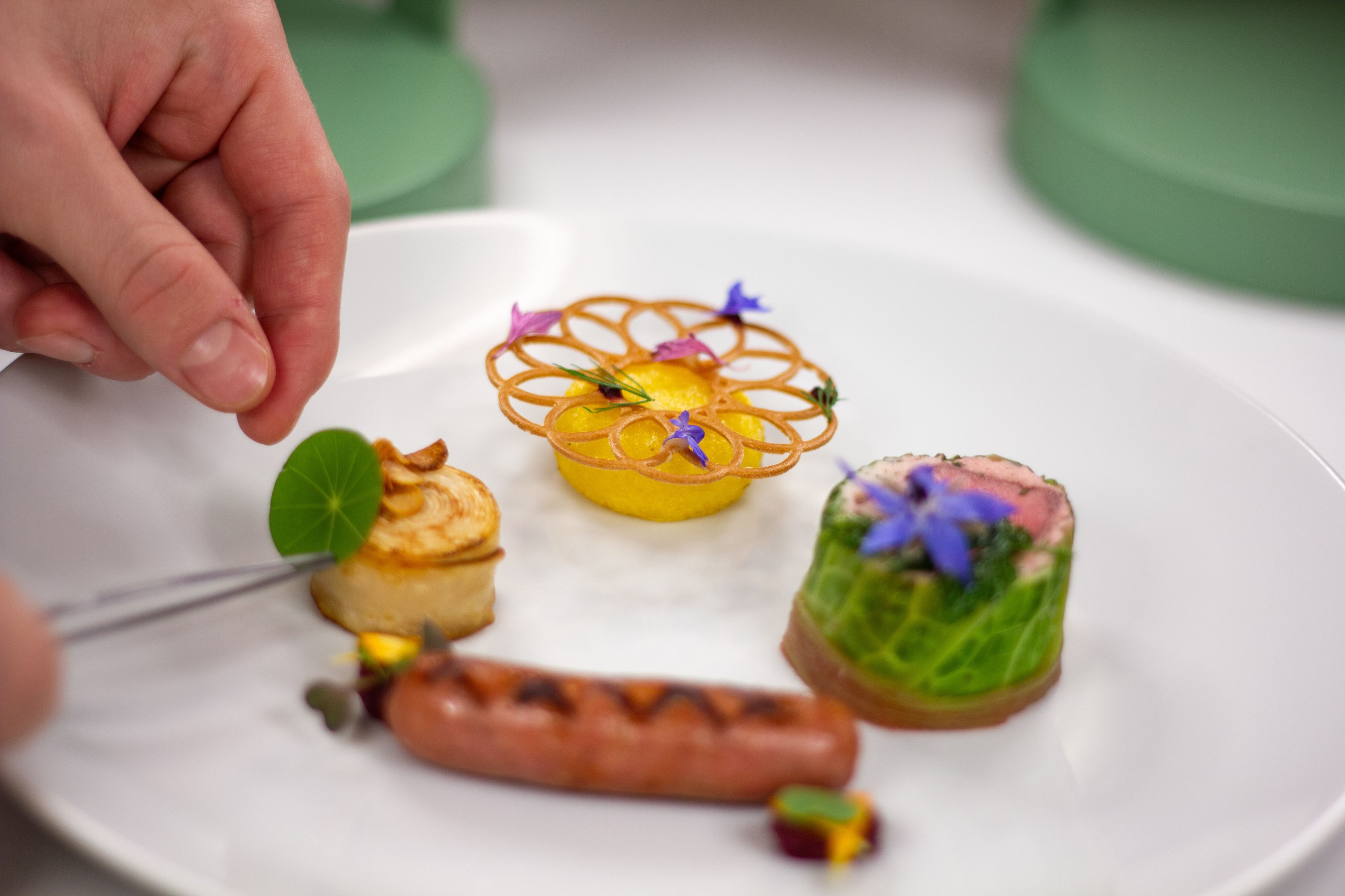 Mano di uno chef che impiatta una portata di menu degustazione con fiori commestibili su un piatto bianco