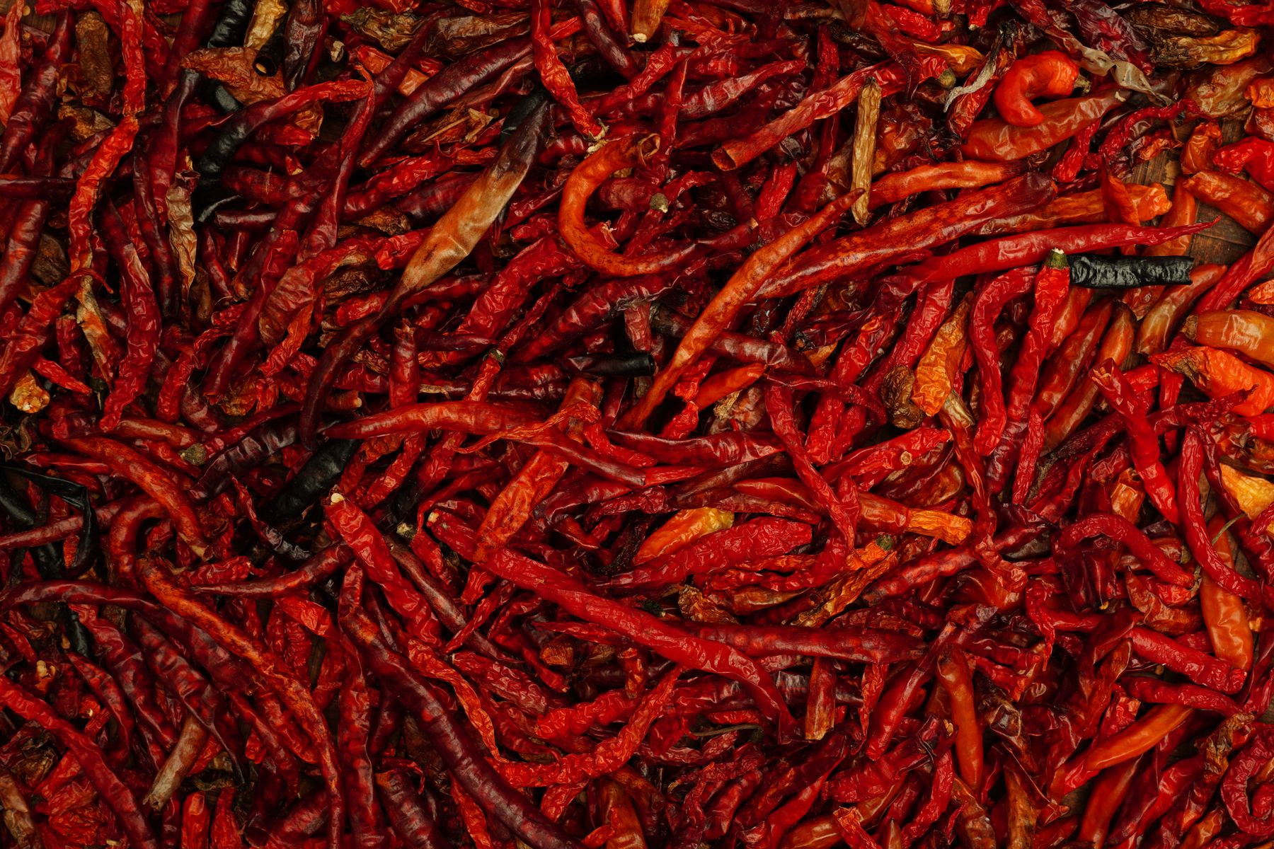 Close-up pile of dried red chiles used for Mexican chile purees
