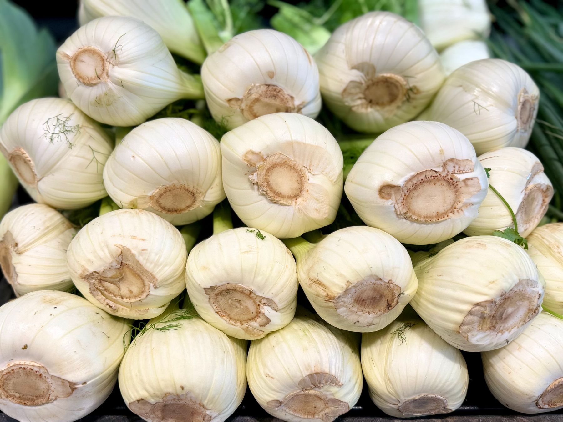 Bulbes de fenouil frais avec leurs tiges empilés sur un étal de marché en plein air