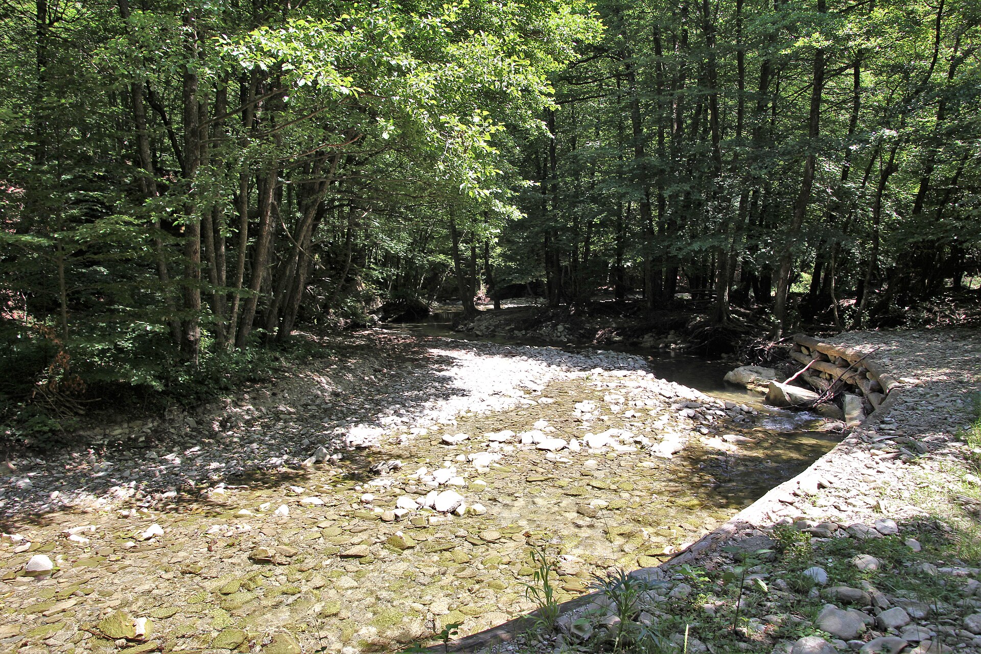 Woodland and a shallow stony stream in the Foreste Casentinesi national park in the Apennines