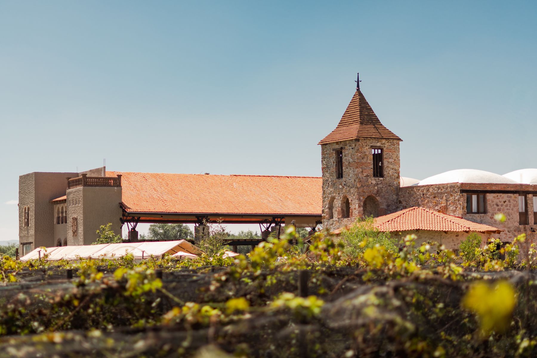 Stone winery tower and terracotta roofs above vineyard rows in Mexican wine country