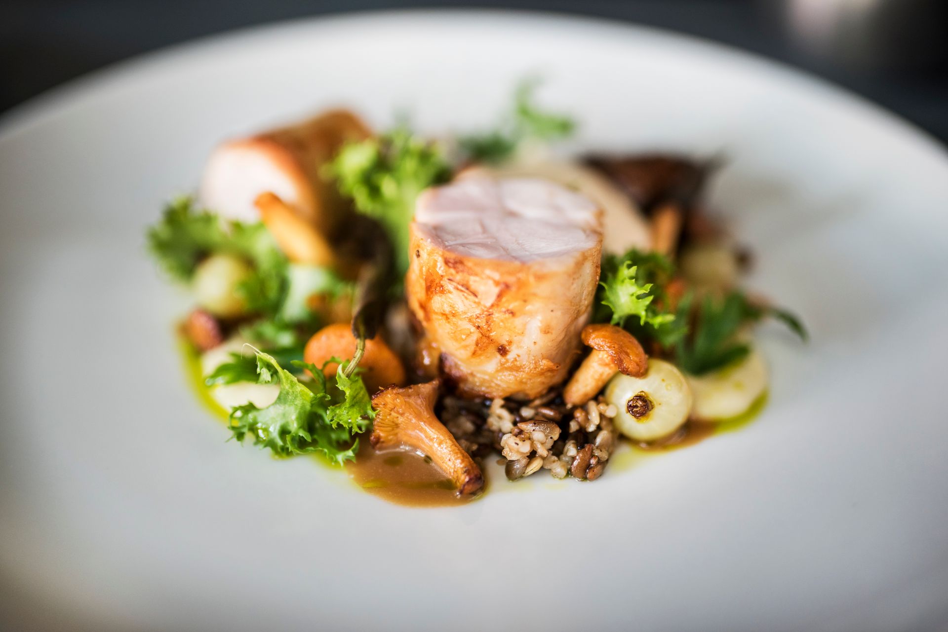 Plated poultry with chanterelles, glazed onions and wild rice in a brown sauce