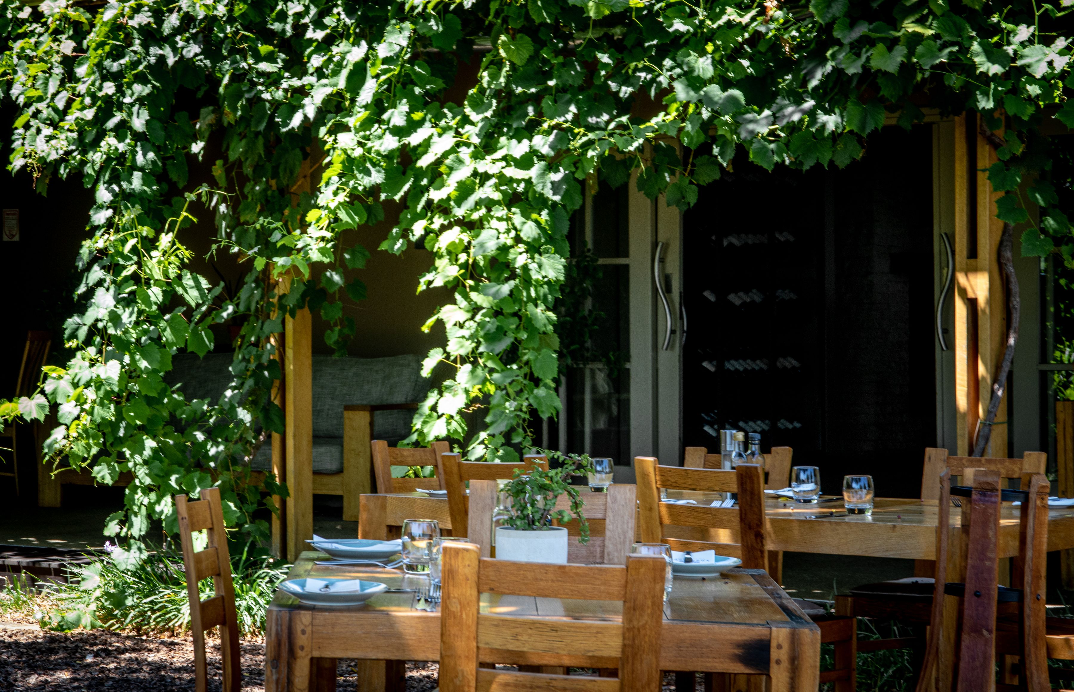 Vine-shaded restaurant patio with wooden tables set for lunch in the South African Winelands