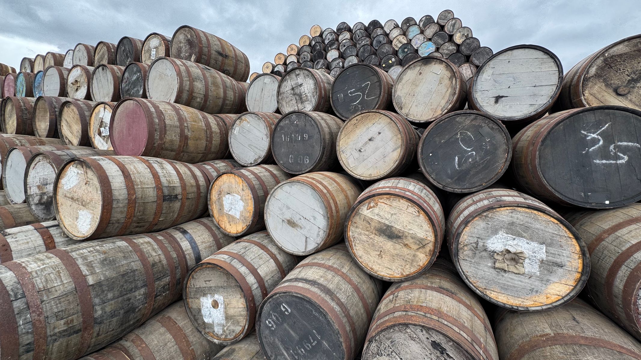 Rows of stacked oak whisky casks at a Scottish distillery yard