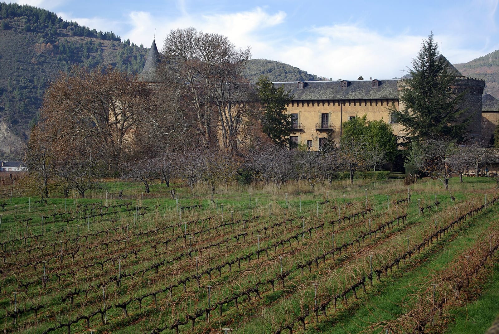 Pruned vineyard rows in autumn below a castle and wooded hills in El Bierzo