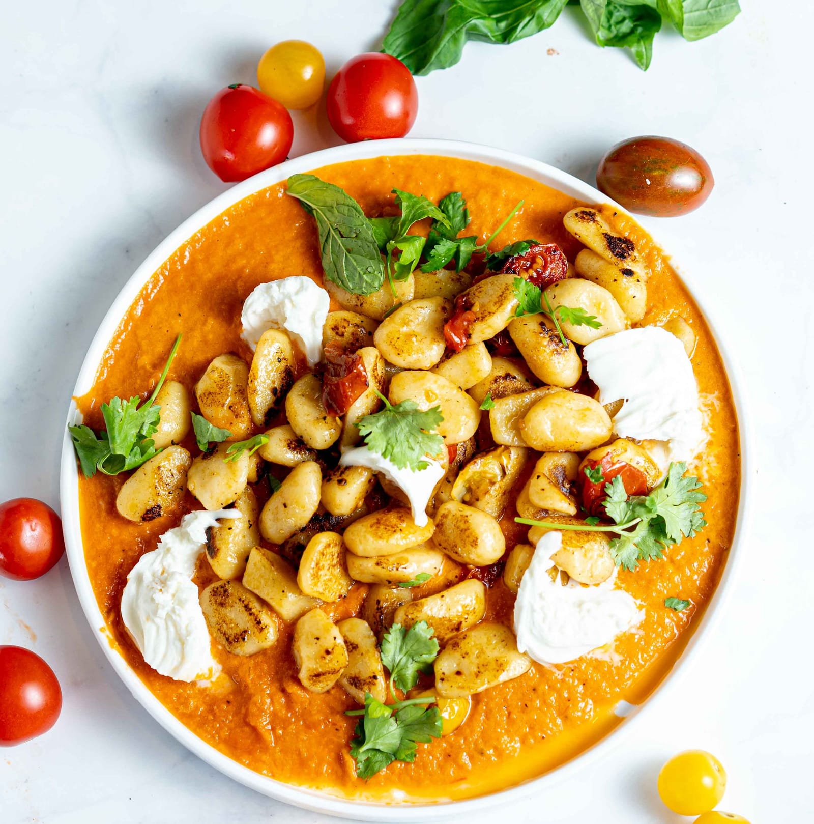 Gebackene Kartoffelgnocchi in Tomatensauce mit Burrata, Kirschtomaten und frischen Kräutern