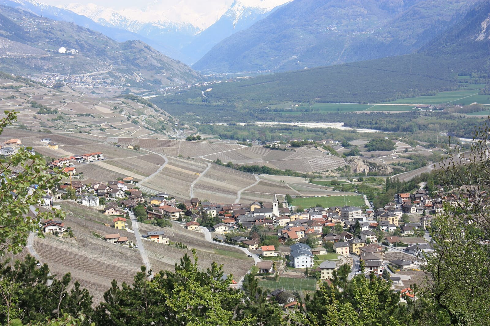 Village of Miège surrounded by terraced vineyards above the Rhône valley in Valais