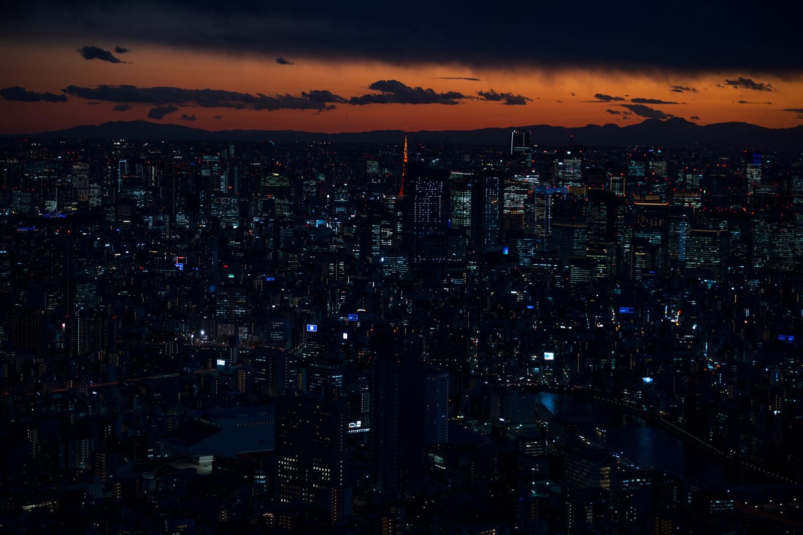 Tokios Skyline in der Dämmerung mit rot beleuchtetem Tokyo Tower