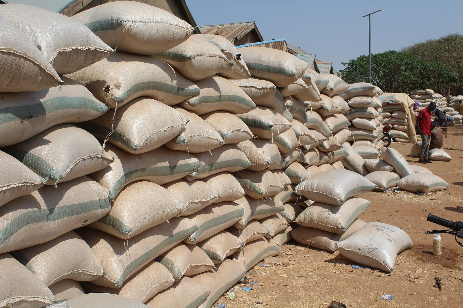 Rows of stacked grain sacks at a village grains market in Kaduna State, Nigeria