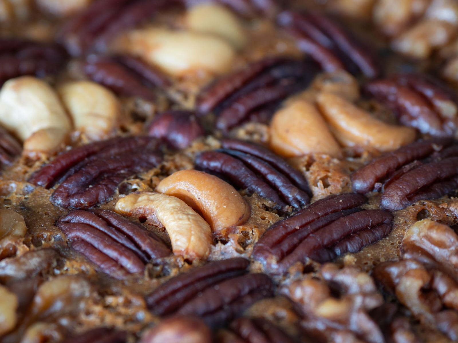 A close-up of dense panforte studded with whole toasted nuts