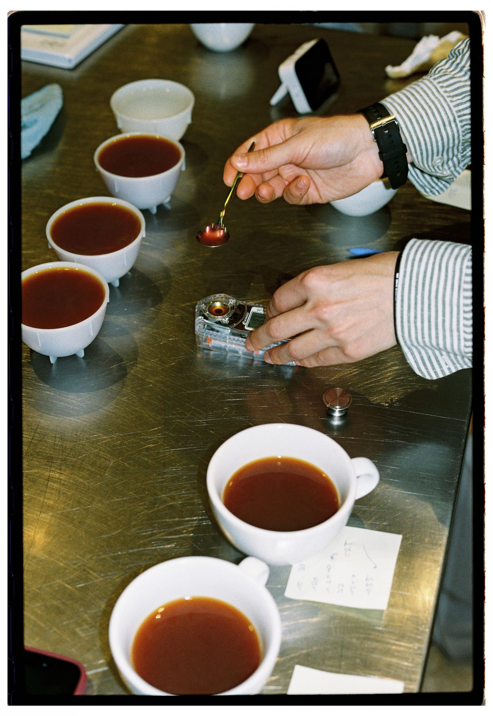 Coffee professional cupping several bowls of filter coffee with a spoon