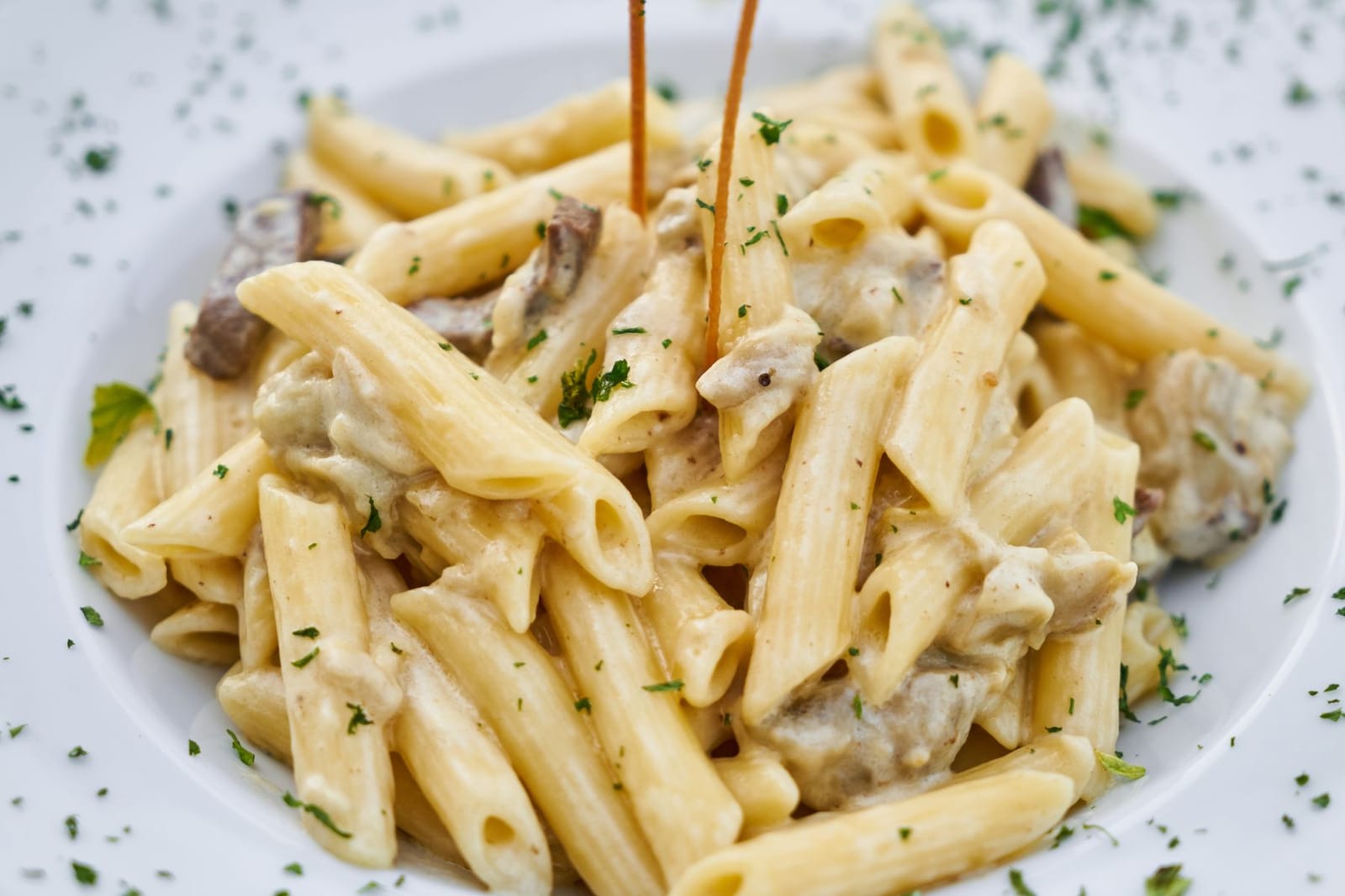 Primo piano di penne cremose con funghi in un piatto bianco