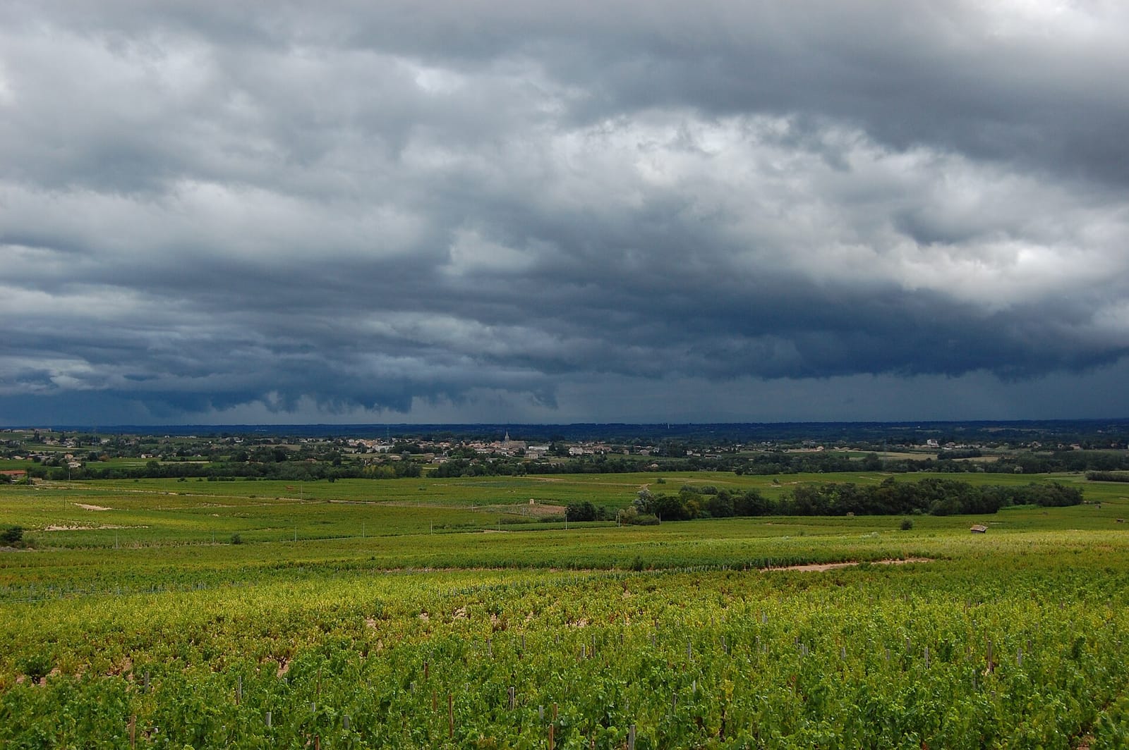 Des nuages d'orage au-dessus de vignes vertes et d'un village dans le vignoble du Beaujolais