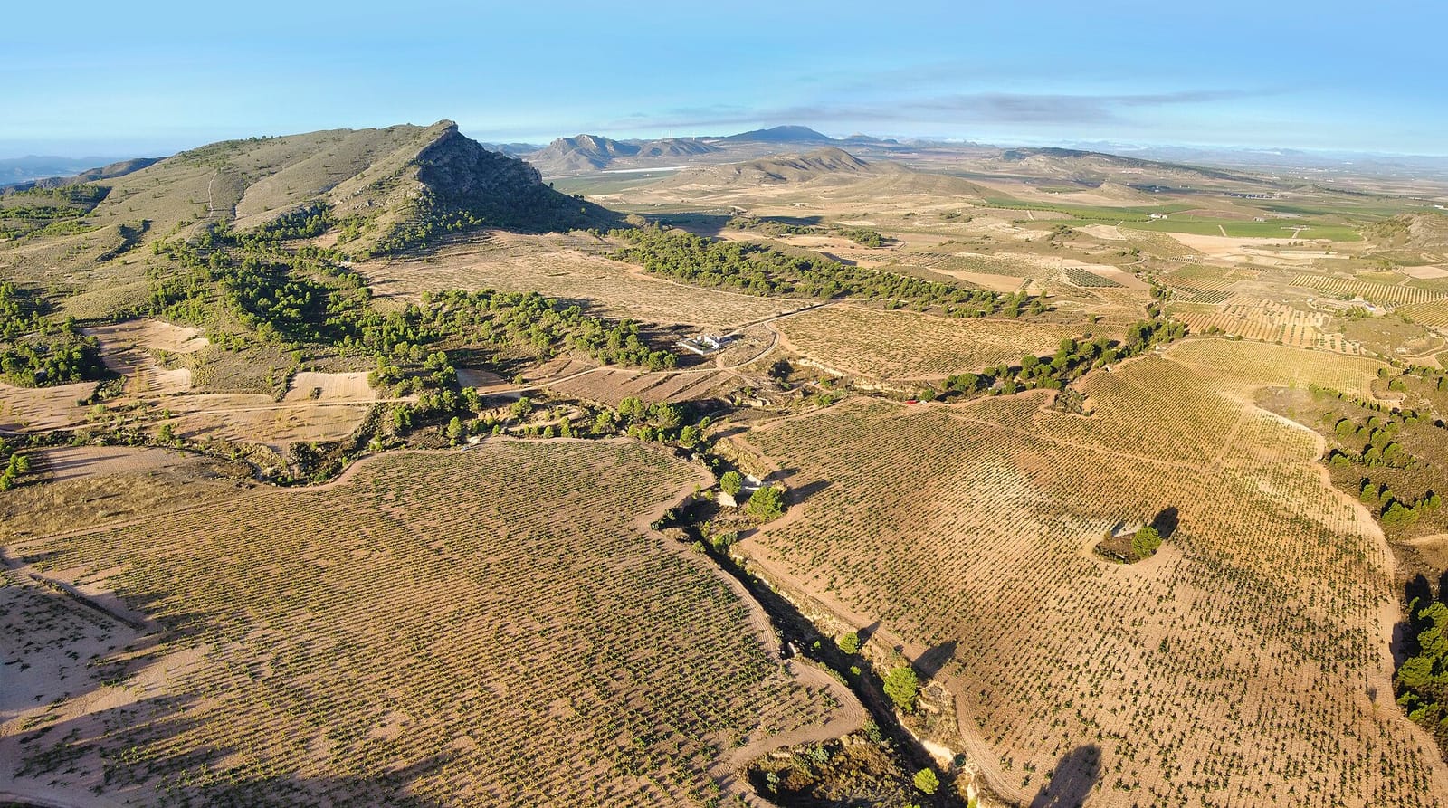 Luchtfoto van Monastrell-wijngaarden op lichte kalkbodem onder een rotsachtige bergkam in Jumilla